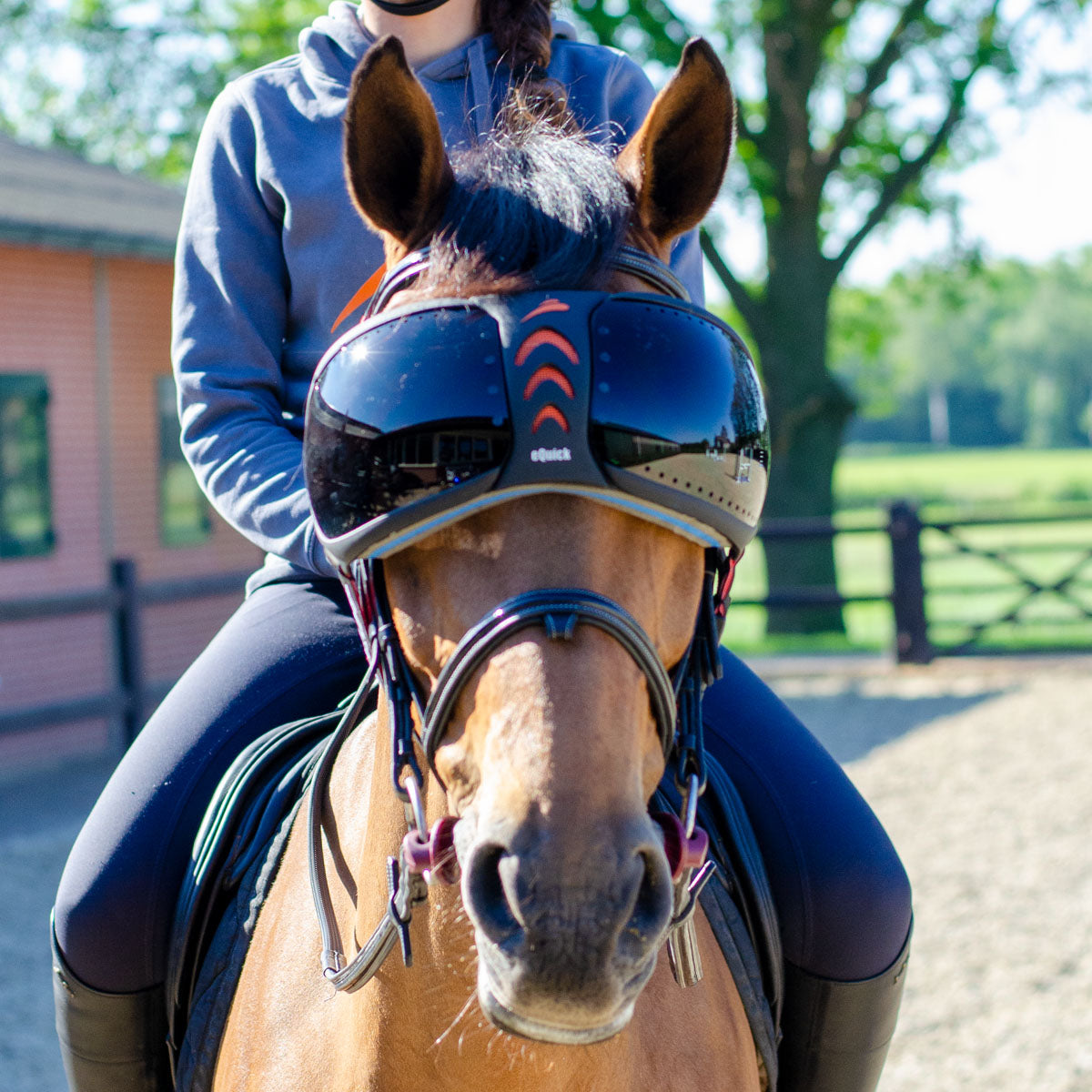 eQuick eVysor - Darker - TATO'S MALLETS