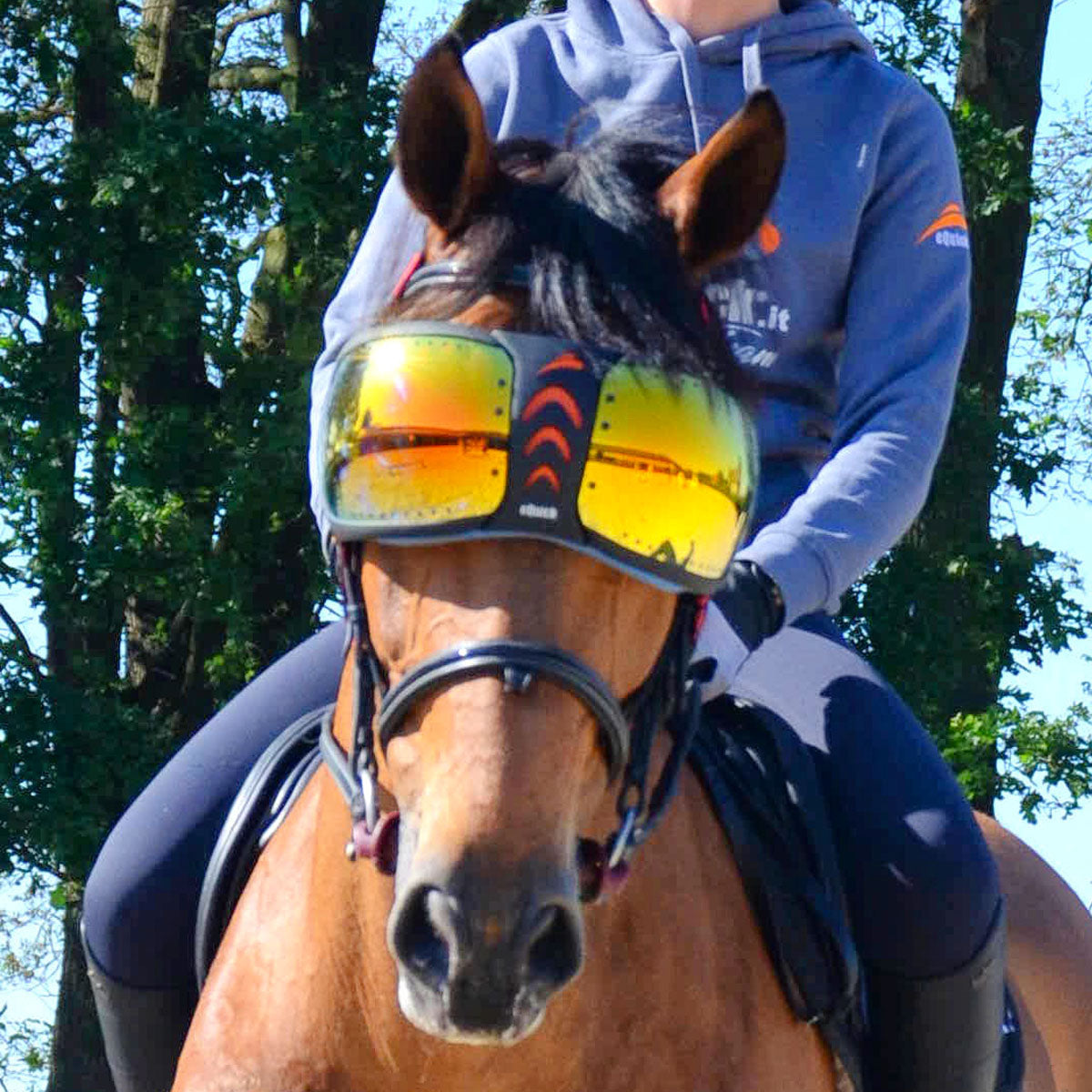 horse with goggles eQuick eVysor