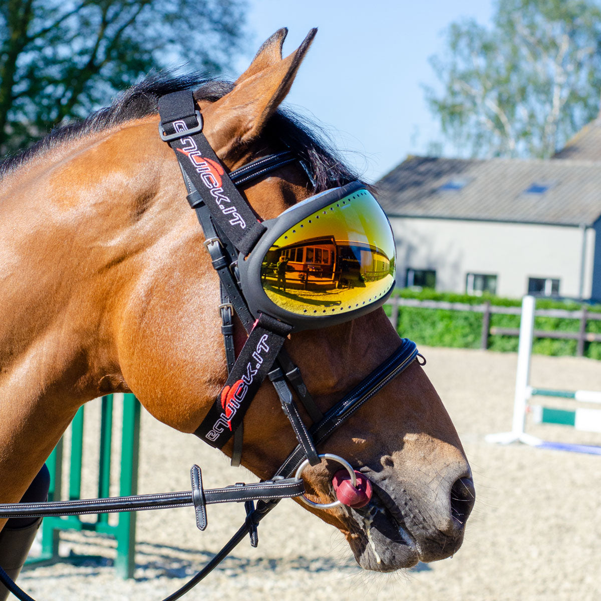 eQuick eVysor - Mirrored Orange - TATO'S MALLETS