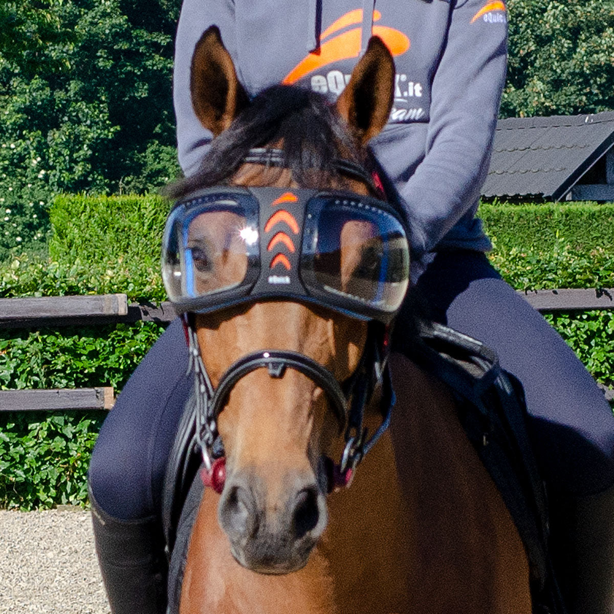 equick horse goggles eQuick eVysor