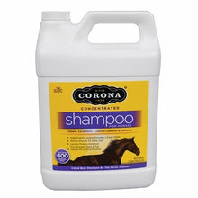  Corona Shampoo 3L - TATO'S MALLETS
