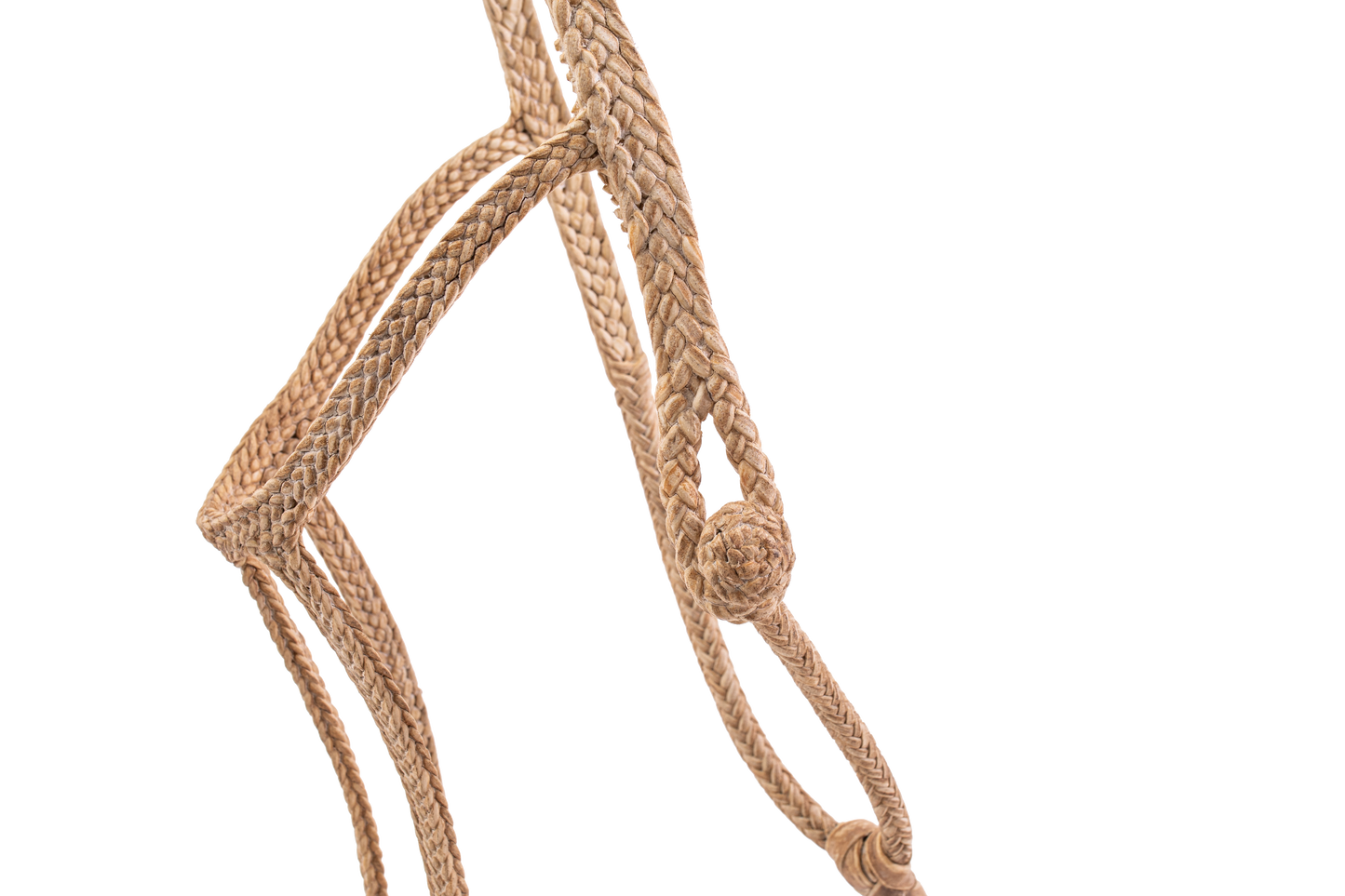 Patria Flat Rawhide Halter - TATO'S MALLETS
