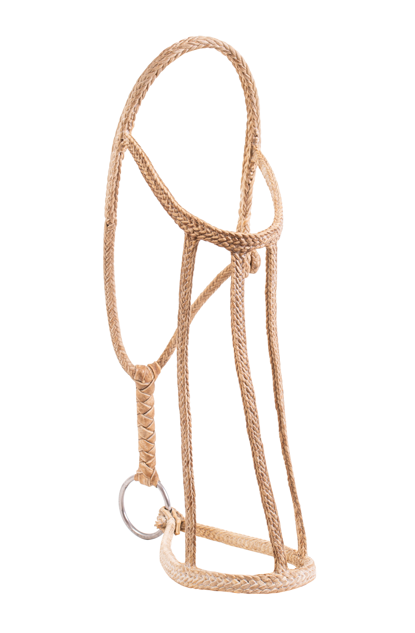 Patria Flat Rawhide Halter - TATO'S MALLETS
