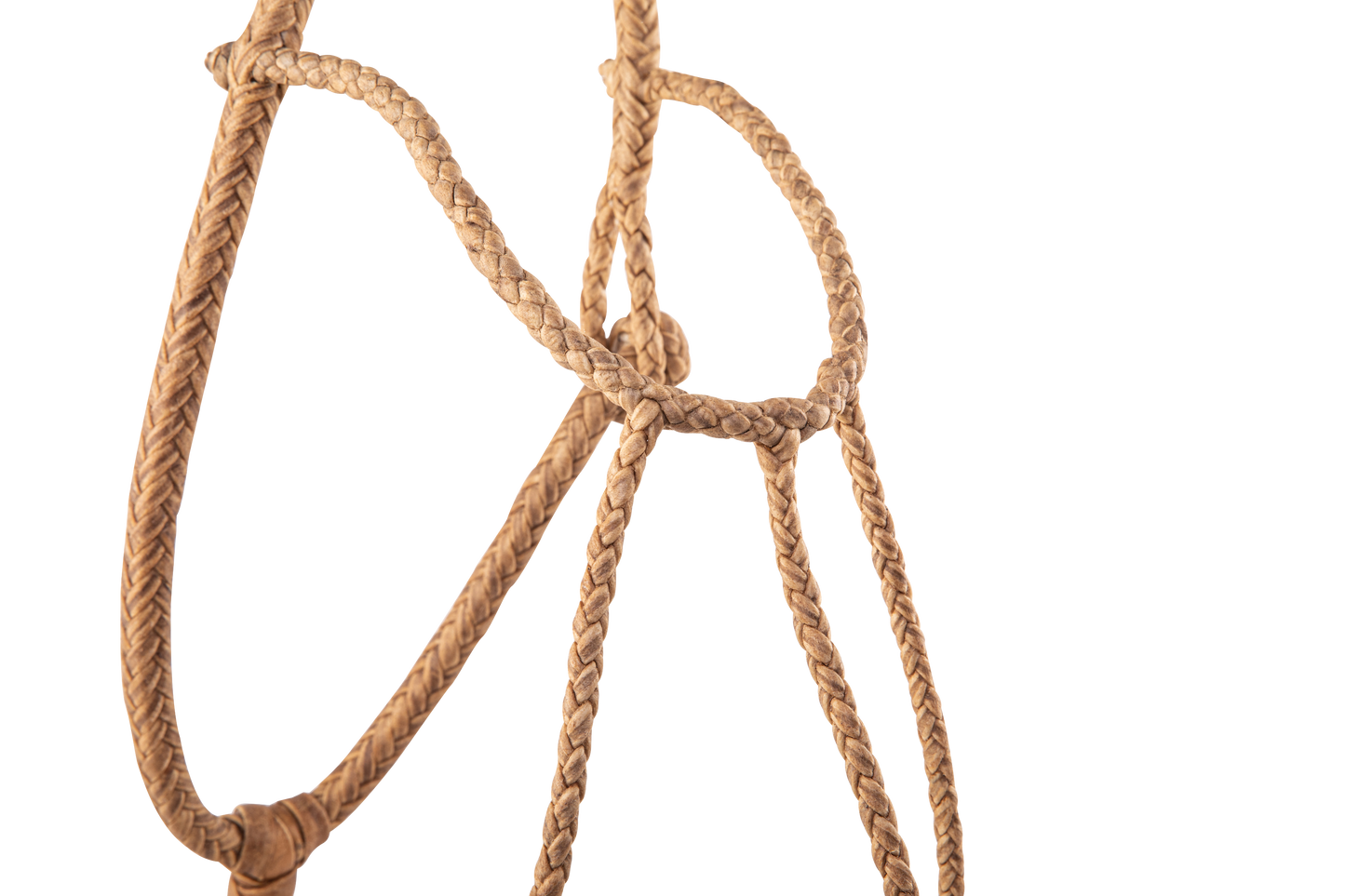 Round Braided Rawhide Halter - TATO'S MALLETS