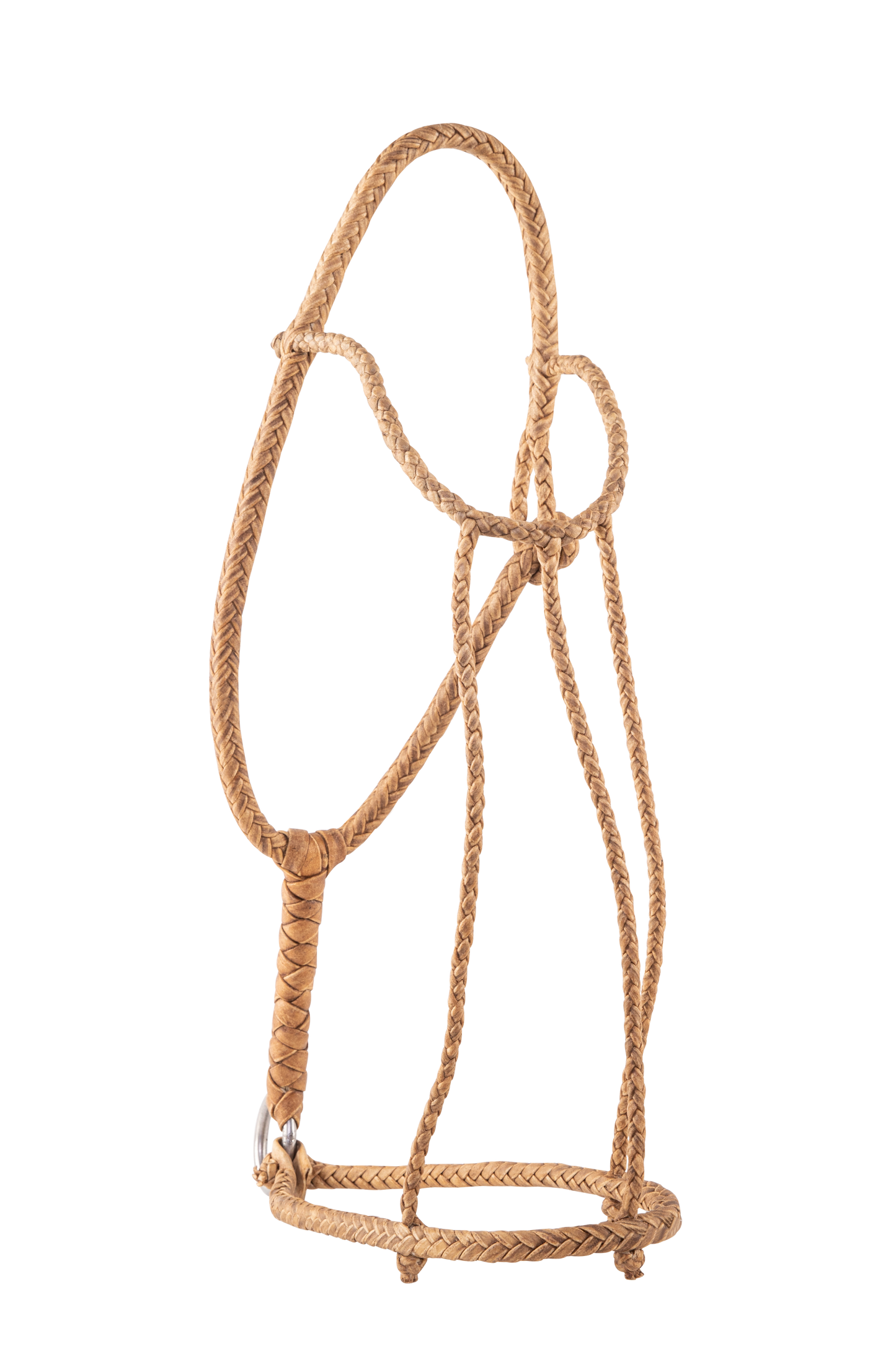 Round Braided Rawhide Halter - TATO'S MALLETS