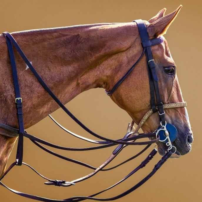 Polo Bridles