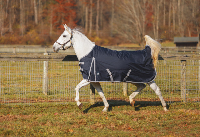 Jacks Atlas Turnout Blanket 300gm - TATO'S MALLETS