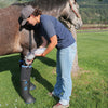 Easyboot Ultimate Remedy - Large - TATO'S MALLETS