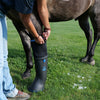 Easyboot Ultimate Remedy - Large - TATO'S MALLETS