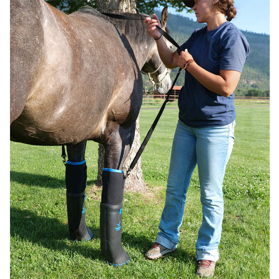 Easyboot Ultimate Remedy - Large - TATO'S MALLETS