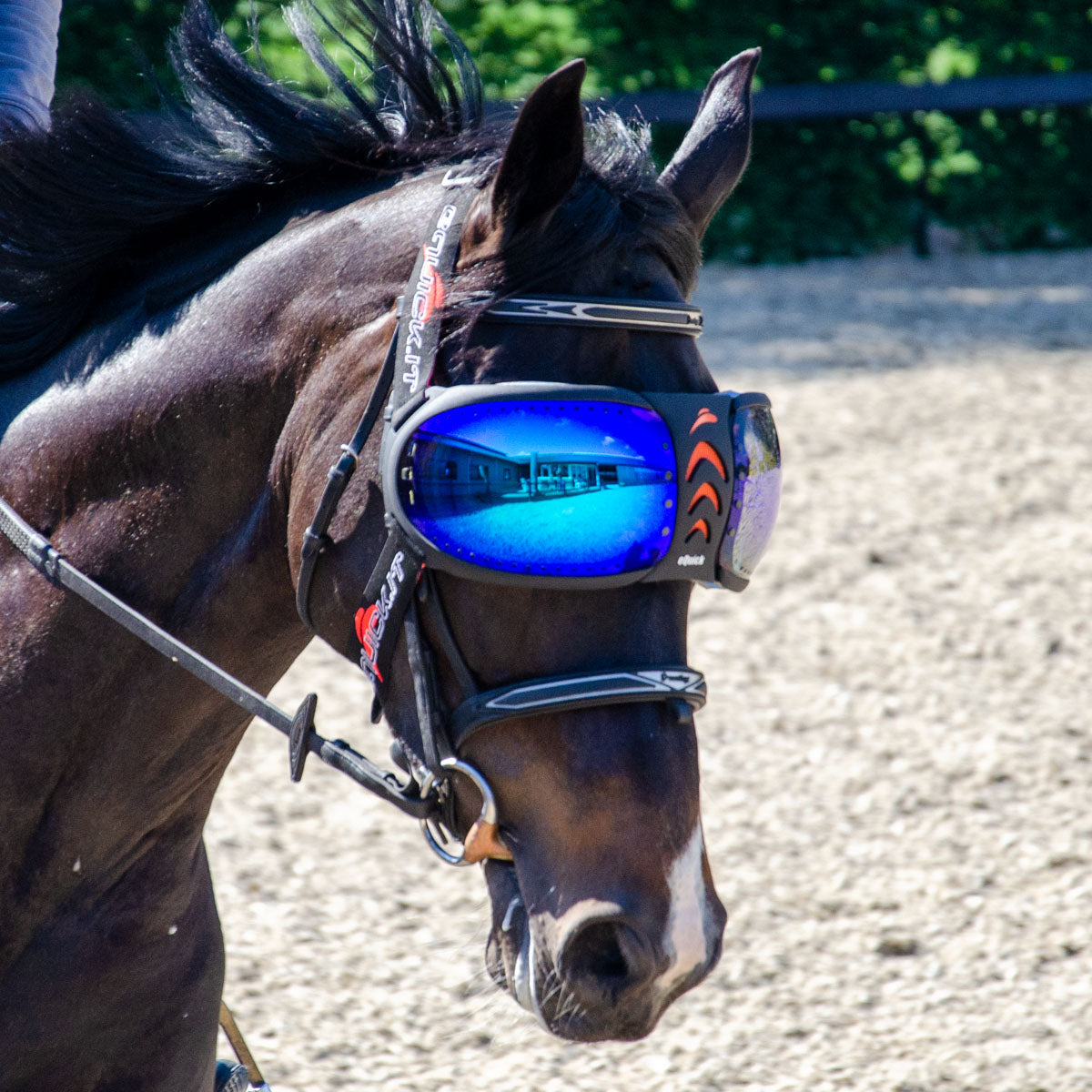 equick horse goggles eQuick eVysor