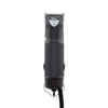 Oster Golden A5 Clipper - TATO'S MALLETS
