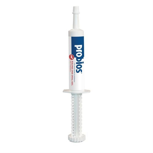 Probios Oral Gel - TATO'S MALLETS
