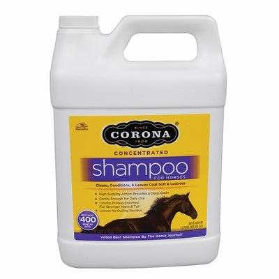 Corona Shampoo 3L - TATO'S MALLETS