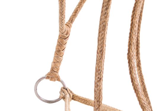 Patria Flat Rawhide Halter - TATO'S MALLETS