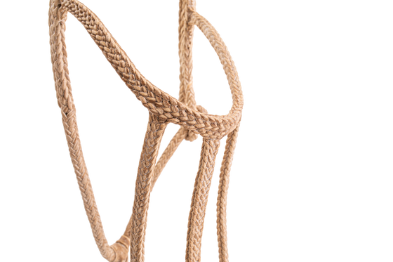 Patria Flat Rawhide Halter - TATO'S MALLETS