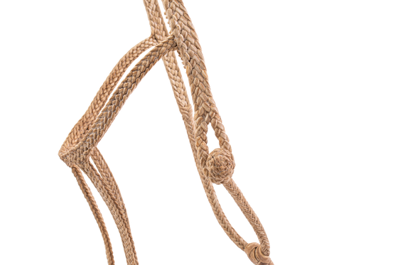 Patria Flat Rawhide Halter - TATO'S MALLETS