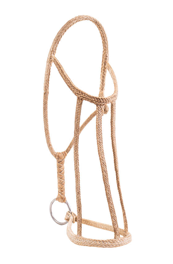 Patria Flat Rawhide Halter - TATO'S MALLETS