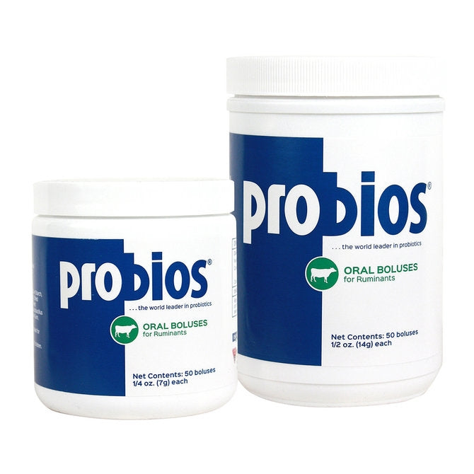 Probios Dispersible Powder - TATO'S MALLETS