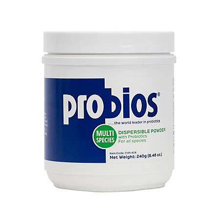 Probios Dispersible Powder - TATO'S MALLETS