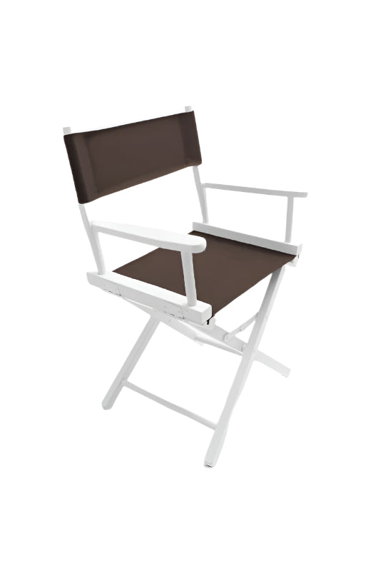 Director's Chair 18