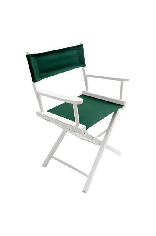 Director's Chair 18